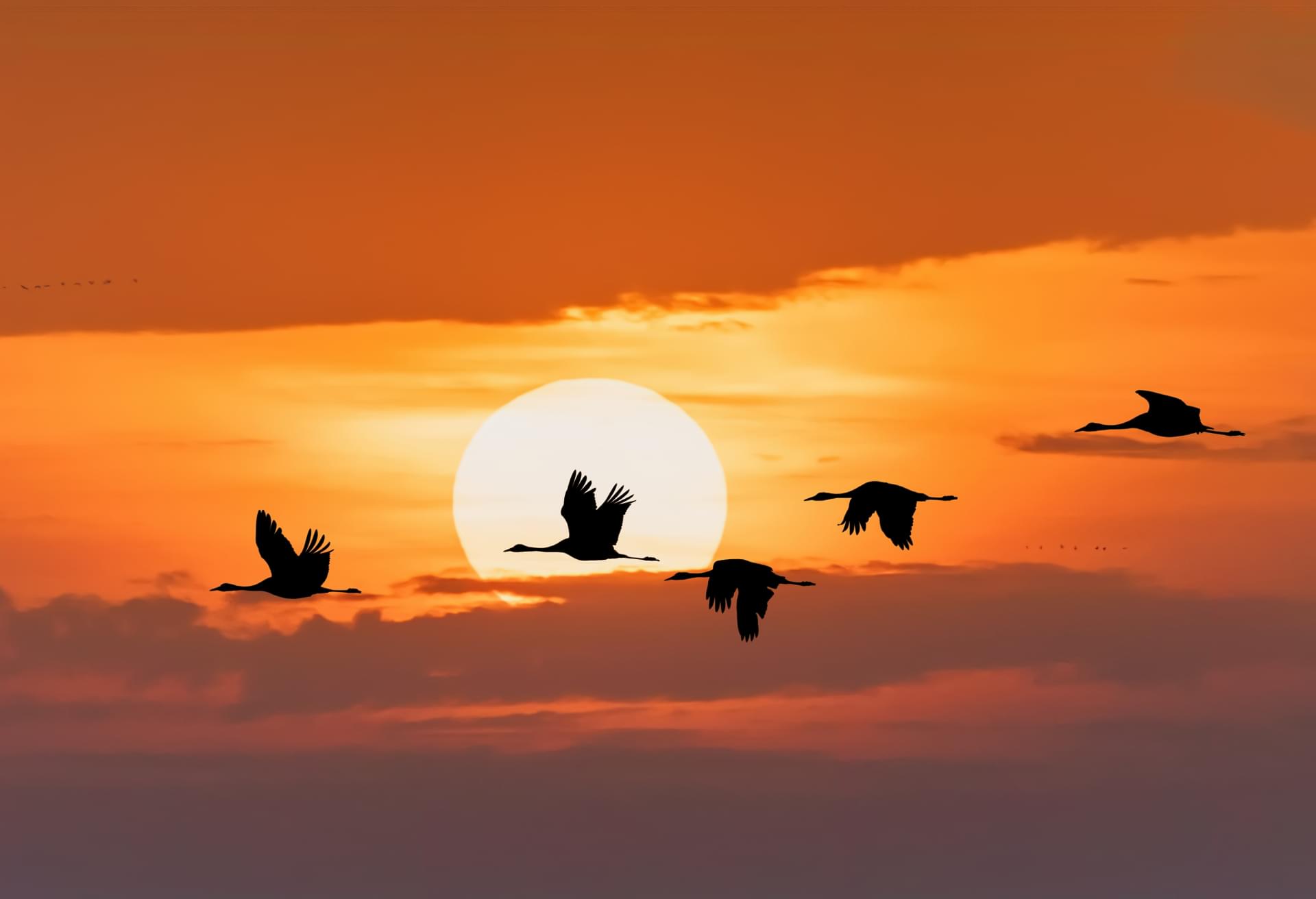 This leads to what Einstein famously referred to as spooky action at a distance.